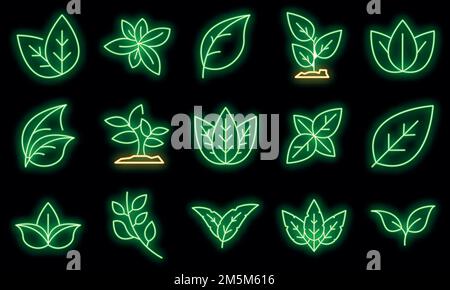 Basil icons set. Outline set of basil vector icons neon color on black Stock Vector