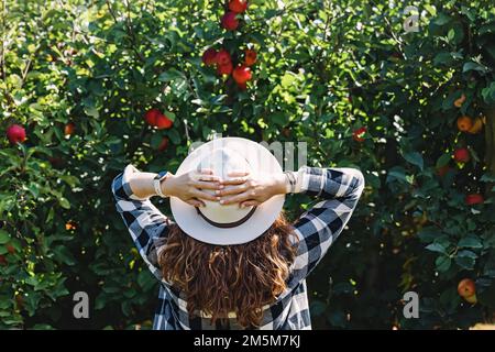 Woman in a hat looking on the tree with red ripe apples, countryside lifestyle Stock Photo