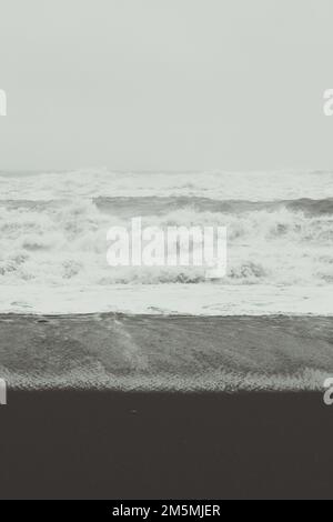 Foamy waves on black beach monochrome landscape photo Stock Photo