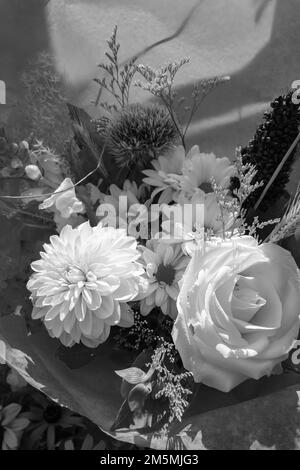 black and white photography of flowers with color