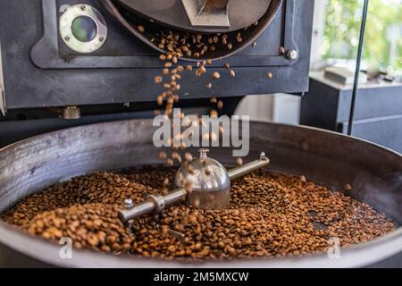 Fresh roasted natural coffee beans cascading out of industrial coffee bean roaster machine inside the coffee shop. Cooling in empty roaster machine Stock Photo