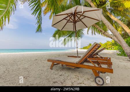 Beautiful tropical beach. White sand and coco palms travel tourism. Amazing beach landscape. Boost up color process. Luxury island resort vacation Stock Photo