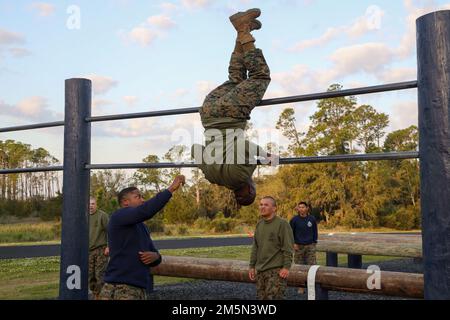 Recruits with India Company, 3rd Recruit Training Battalion, conduct the Obstacle Course on Marine Corps Recruit Depot Parris Island, S.C., March 29, 2022. This course is used as one of many physical training challenges to prepare recruits to become United States Marines.   (U.S. Marine Corps photos by Cpl. Randall D. Whiteman) Stock Photo