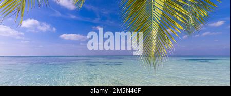 Summer beach landscape. Vacation nature background, beautiful palm tree leaves with calm relaxing blue sea under cloudy sky. Perfect tranquil tropical Stock Photo