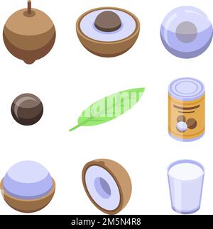 Longan icons set. Isometric set of longan vector icons for web design isolated on white background Stock Vector