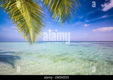 Beach palm tree leaves shadows on sunny sandy beach and turquoise ocean bay. Amazing summer nature landscape. Stunning beach coast scenery, relaxing Stock Photo