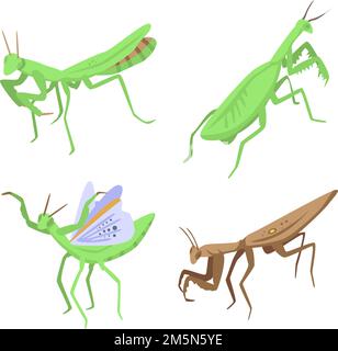 Mantis icons set. Isometric set of mantis vector icons for web design isolated on white background Stock Vector