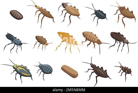 Cockroach icons set. Isometric set of cockroach vector icons for web design isolated on white background Stock Vector