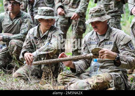 U.S. Army Soldiers from the 130th Engineer Brigade, 8th Military Police Brigade, 10th Support Group, and Security Force Assistance Brigade conduct jungle survival techniques taught by the Papua New Guinea Defense Forces during Tamiok Strike 2022 in Port Moresby, Papua New Guinea, on March 30. The jungle survival training consisted of building a shelter, traps, weapons, fire, and filtering water. The U.S. Army's commitment to our Partners and Allies promote and enable interoperability. Bi-lateral exercises like TK22 directly assist us with promoting Theater Sustainment and U.S. Army Pacific wit Stock Photo