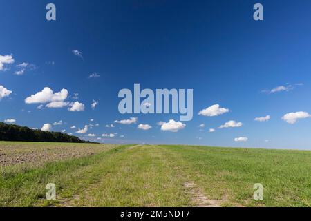 Wide open space, field path, blue sky, white clouds, Saxony, Germany Stock Photo