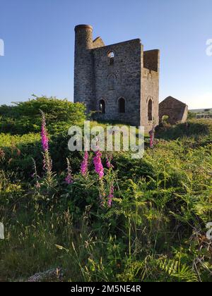 Giew Mine, Cornwall, Great Britain Stock Photo