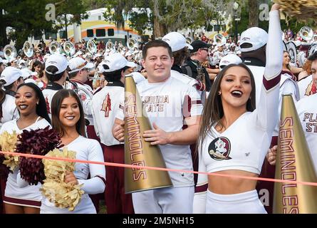 Winter Park, United States. 29th Dec, 2022. The Florida State University cheerleaders perform at a battle of the bands with the University of Oklahoma before the Cheez-It Bowl in Winter Park, Florida. (Photo by Paul Hennessy/SOPA Images/Sipa USA) Credit: Sipa USA/Alamy Live News Stock Photo