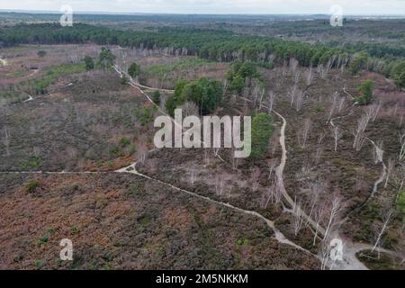 Aerial view of Ockham Common, Cobham, Surrey, UK. Stock Photo