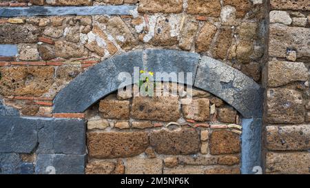 Detail of an old wall made of tuff, hill village Civita di Bagnoregio, Latium, Italy Stock Photo