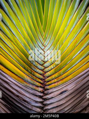 GRAND HYATT RESORT & SPA KOLOA KAUAI HAWAII USA Stock Photo