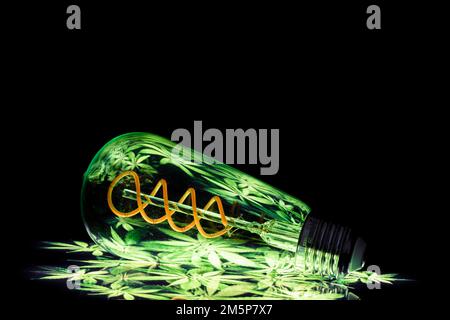 Colourful patterns reflect within a clear glass, oval shaped lightbulb and photographed against a black background Stock Photo