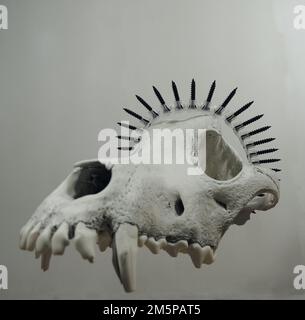 Wreath Of Black Screws On Animal Skull Side View Stock Photo