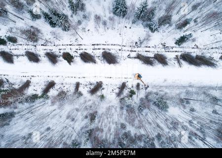An aerial of a yellow guillotine cutting down energy wood and low-value hardwood next to a small road in wintry Estonia, Northern Europe Stock Photo