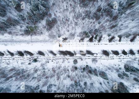 An aerial of a yellow guillotine cutting down energy wood and low-value hardwood next to a small road in wintry Estonia, Northern Europe Stock Photo