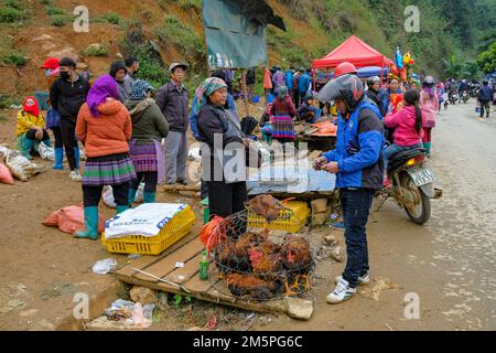 Can Cau, Vietnam - December 17, 2022: A chicken seller in the Can Cau market in Lao Cai province, Vietnam. Stock Photo