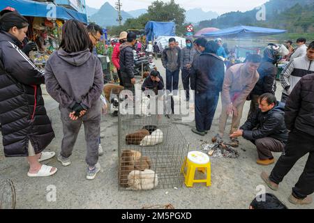 Bac Ha, Vietnam - December 18, 2022: A man selling dogs at the Bac Ha market in Vietnam. Stock Photo