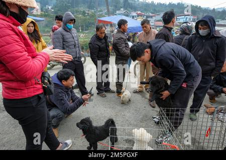 Bac Ha, Vietnam - December 18, 2022: A man selling dogs at the Bac Ha market in Vietnam. Stock Photo