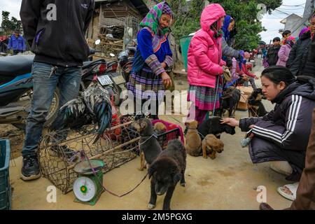 Bac Ha, Vietnam - December 18, 2022: A woman selling dogs at the Bac Ha market in Vietnam. Stock Photo