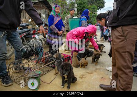 Bac Ha, Vietnam - December 18, 2022: A woman selling dogs at the Bac Ha market in Vietnam. Stock Photo