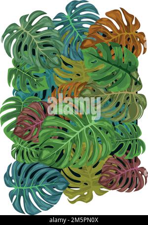 Monstear leaf vector illustration Stock Vector