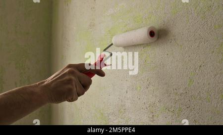 hand of a person with a roller leaning against a textured room wall, equipment for applying primer, glue or paint on the background of a wall Stock Photo