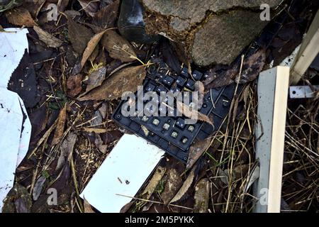 Broken  keyboard with foliage seen from above Stock Photo