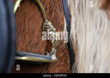 Side close up on the metal foot stirrup on a black leather horse saddle Stock Photo