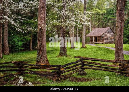 The Carter Shields House is one of the most popular stops along the 14-mile Cades Cove loop, but it's never lovelier than in the Spring during those f Stock Photo