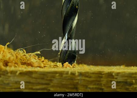 Rotating drill in wood. Drill with flying wood chips. Concept for carpentry, crafts, DIY. Macro and close-up image. Stock Photo