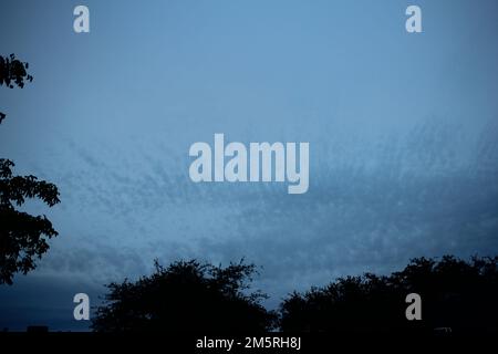 Dramatic winter sky florida Stock Photo