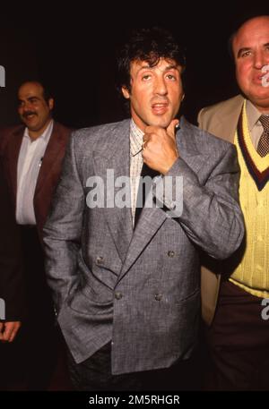 Sylvester Stallone Circa 1980's  Credit: Ralph Dominguez/MediaPunch Stock Photo