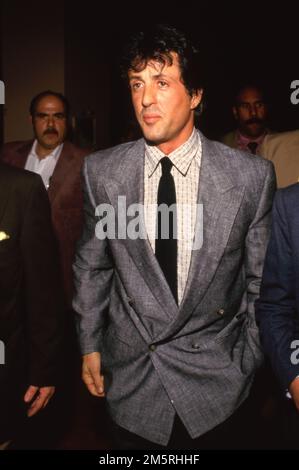 Sylvester Stallone Circa 1980's  Credit: Ralph Dominguez/MediaPunch Stock Photo