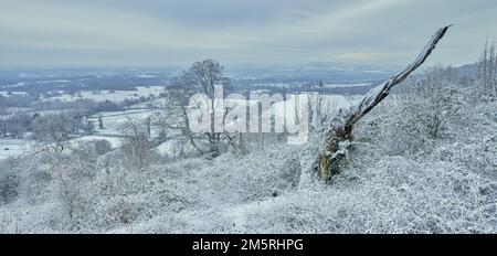 South Downs National Park landscape on a winter snowy day Stock Photo