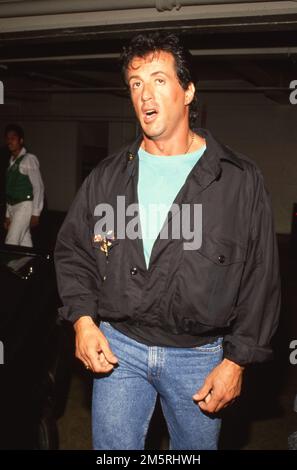 Sylvester Stallone Circa 1980's  Credit: Ralph Dominguez/MediaPunch Stock Photo