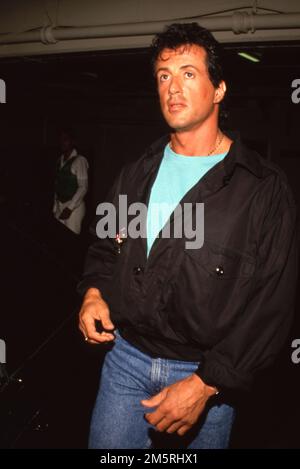 Sylvester Stallone Circa 1980's  Credit: Ralph Dominguez/MediaPunch Stock Photo