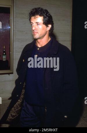 Sylvester Stallone Circa 1980's  Credit: Ralph Dominguez/MediaPunch Stock Photo