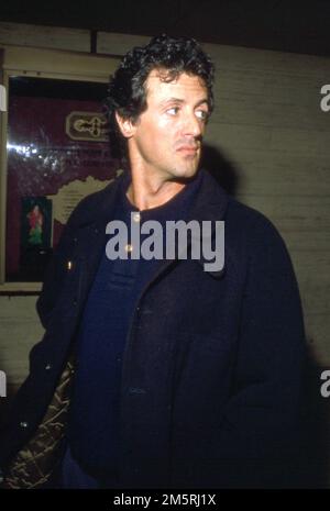 Sylvester Stallone Circa 1980's  Credit: Ralph Dominguez/MediaPunch Stock Photo