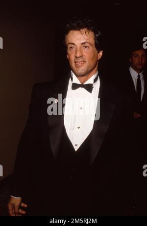 Sylvester Stallone Circa 1980's  Credit: Ralph Dominguez/MediaPunch Stock Photo