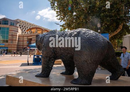 Bronze statue of Bruin at campus of University of California at Los Angeles Stock Photo