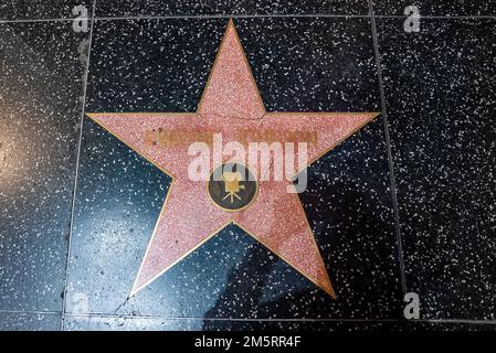 High angle view of Dwayne Johnson text in walk of fame star on sidewalk Stock Photo