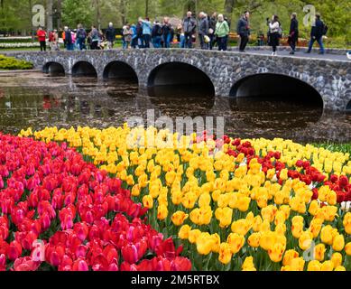 Keukenhof, Netherlands - April 25, 2022: Colorful blooming tulips in the park Keukenhof in the Netherlands Stock Photo