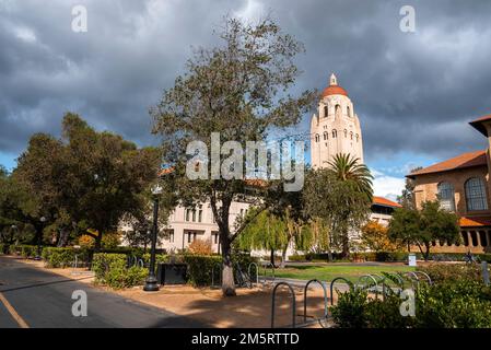 Trees and plants growing in front of Stanford University Hoover Tower Stock Photo