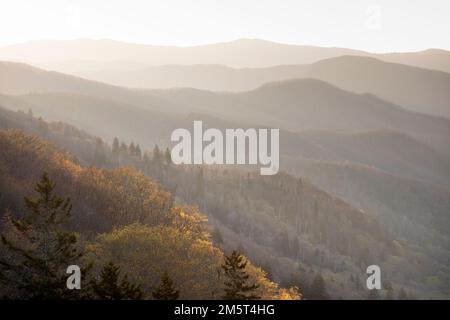 TN00123-00....Tennessee/North Carolina - View from Highway 441 near Newfound  Gap in Great Smoky Mountains National Park. Stock Photo