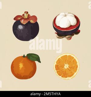 Vectorized tropical fruit sticker collection design elements Stock Vector