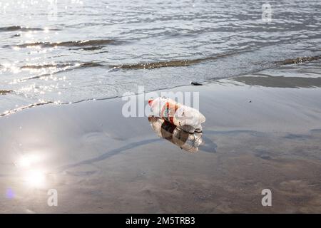 Plastic bottle lies on the beach polluting the sea and marine Stock Photo